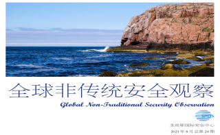 《全球非传统安全观察》第20期